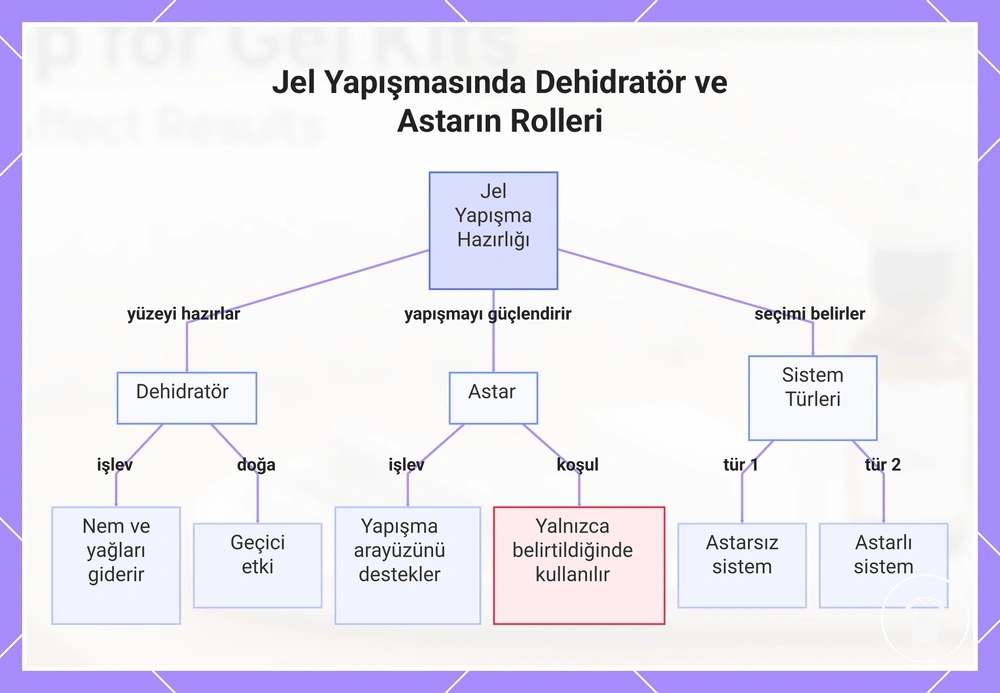 Jel Yapışmasında Dehidratör ve Astarın Rolleri