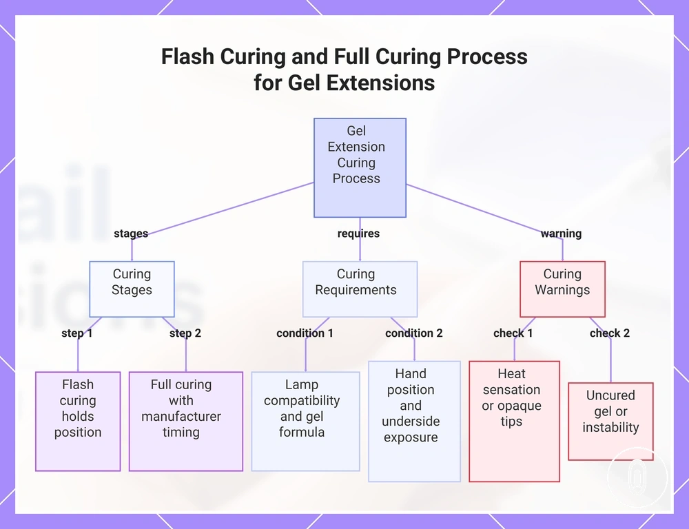 Flash Curing and Full Curing Process for Gel Extensions