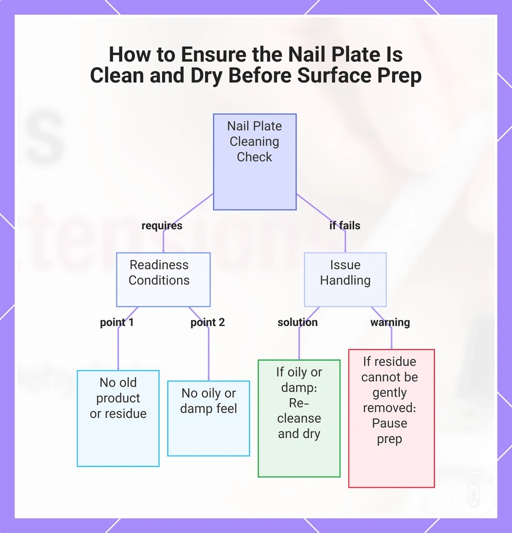 How to Ensure the Nail Plate Is Clean and Dry Before Surface Prep