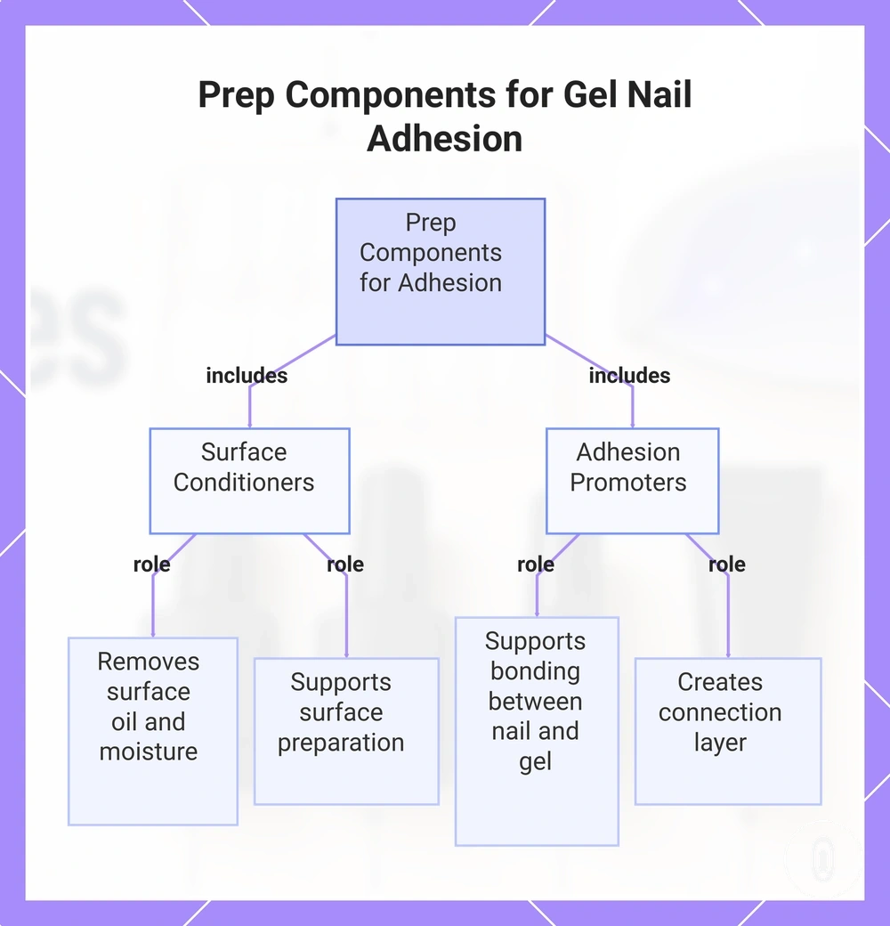 Prep Components for Gel Nail Adhesion