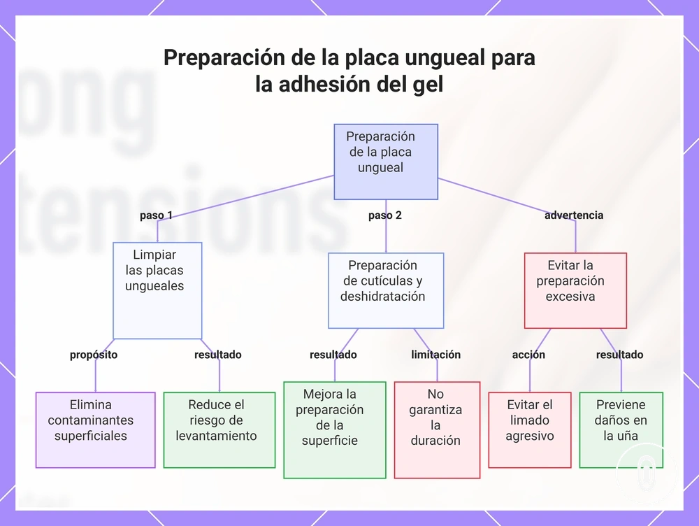 Preparación de la placa ungueal para la adhesión del gel