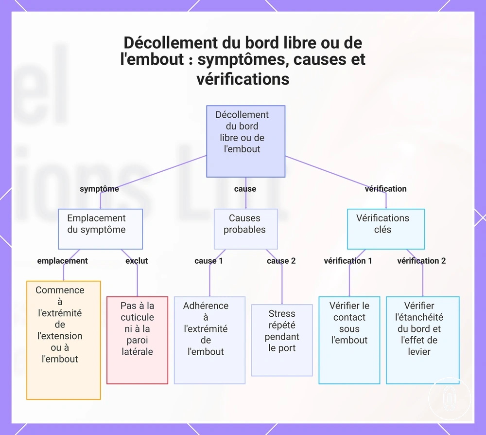 Décollement du bord libre ou de l'embout : symptômes, causes et vérifications