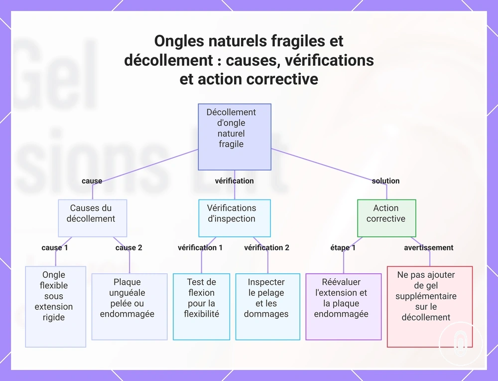 Ongles naturels fragiles et décollement : causes, vérifications et action corrective
