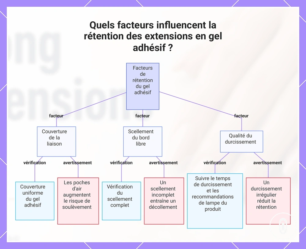 Quels facteurs influencent la rétention des extensions en gel adhésif ?